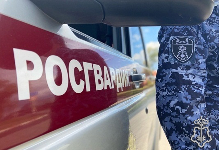 В ДИМИТРОВГРАДЕ РОСГВАРДЕЙЦЫ ЗАДЕРЖАЛИ ПОДОЗРЕВАЕМУЮ В КРАЖЕ