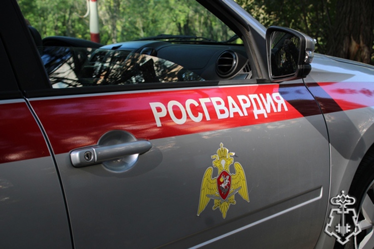 В Димитровграде росгвардейцы задержали нетрезвого водителя