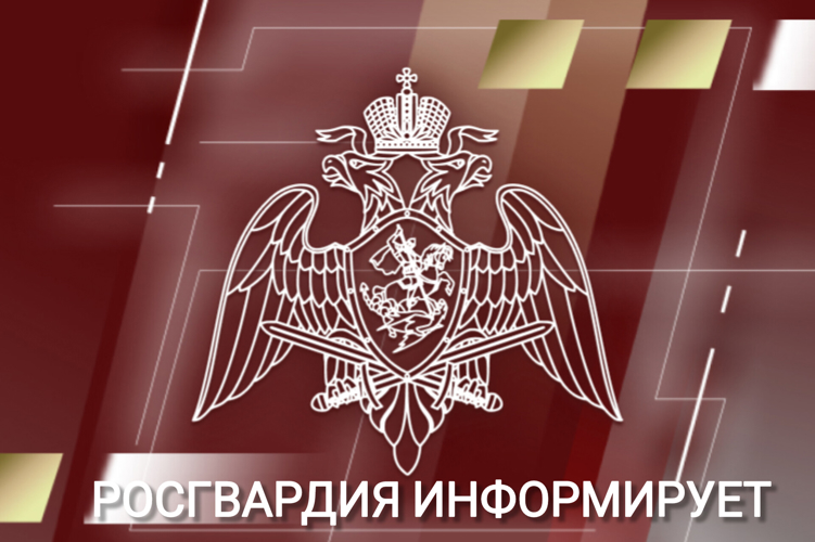 Ульяновцы могут поступить на службу во вневедомственную охрану (видео)