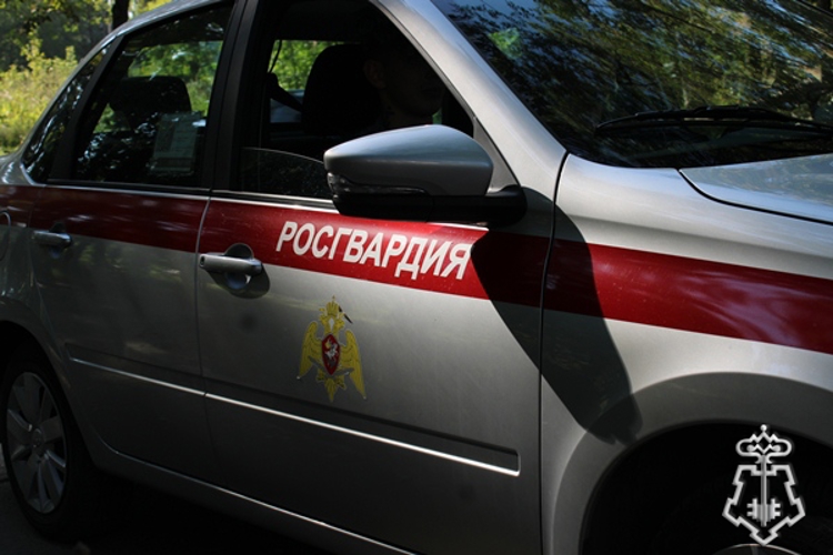 В Ульяновске росгвардейцы задержали гражданку за кражу в супермаркете