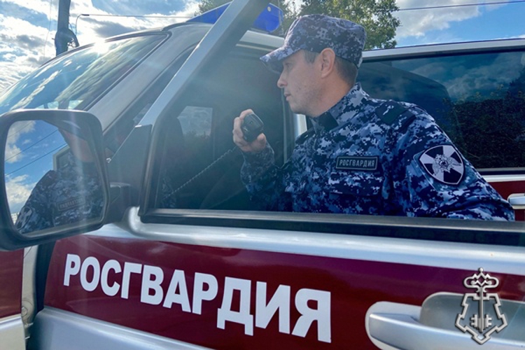 В августе ульяновским росгвардейцам поступило порядка 5870 тревожных сообщений 