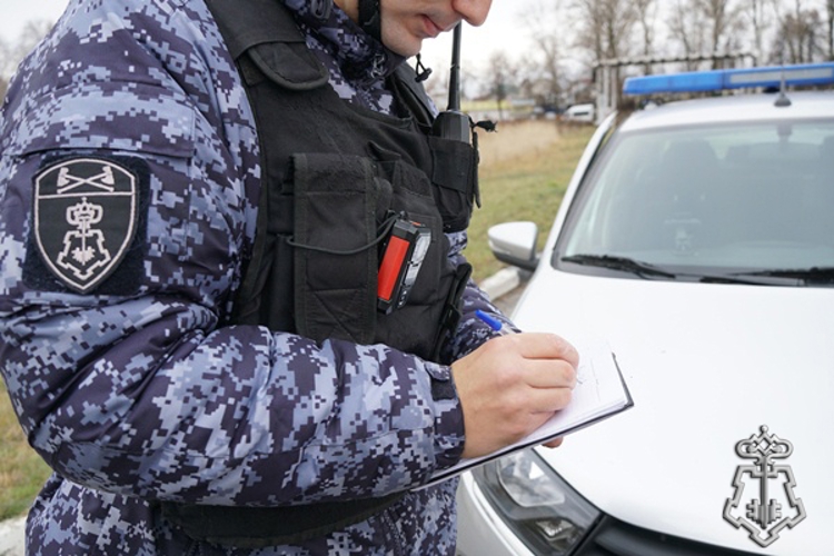 В Димитровграде росгвардейцы задержали женщину за кражу телефона