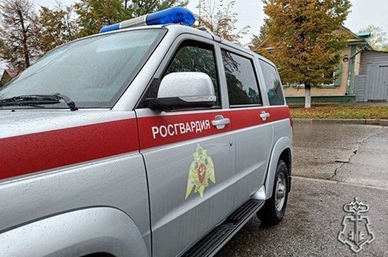 Сотрудники Росгвардии задержали покупательницу за кражу из ульяновского гипермаркета