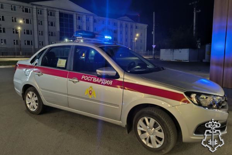 В Ульяновске росгвардейцы задержали подозреваемую в краже из гипермаркета