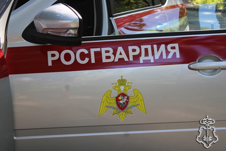 В Димитровграде росгвардейцы задержали женщину, подозреваемую в хулиганстве