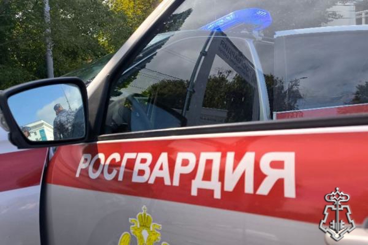 В ЗАВОЛЖСКОМ РАЙОНЕ РОСГВАРДЕЙЦЫ ЗАДЕРЖАЛИ УЛЬЯНОВЦА, ПОДОЗРЕВАЕМОГО В КРАЖЕ